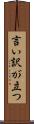言い訳が立つ Scroll