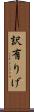 訳有りげ Scroll