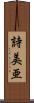 詩美亜 Scroll