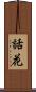 話花 Scroll