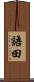 語田 Scroll