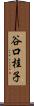 谷口桂子 Scroll
