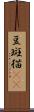 豆斑猫(rK) Scroll