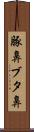 豚鼻 Scroll