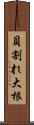 貝割れ大根 Scroll