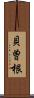 貝曽根 Scroll