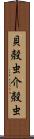 貝殻虫 Scroll