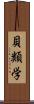 貝類学 Scroll