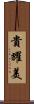 貴耀美 Scroll