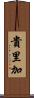 貴里加 Scroll
