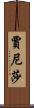 Janixa Scroll