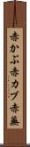 赤かぶ Scroll