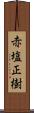 赤塩正樹 Scroll