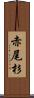 赤尾杉 Scroll