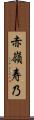 赤嶺寿乃 Scroll