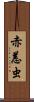 赤恙虫 Scroll