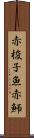 赤梭子魚 Scroll