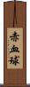 赤血球 Scroll