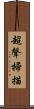 超聲掃描 Scroll