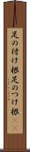 足の付け根 Scroll