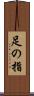 足の指 Scroll