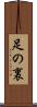 足の裏 Scroll
