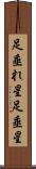 足垂れ星 Scroll