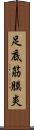 足底筋膜炎 Scroll