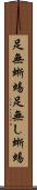 足無蜥蜴 Scroll
