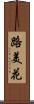 路美花 Scroll