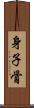 身子骨 Scroll