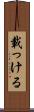載っける Scroll