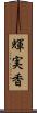 輝実香 Scroll