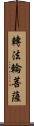 轉法輪菩薩 Scroll