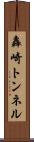 轟崎トンネル Scroll