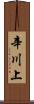 辛川上 Scroll