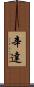 Cinda Scroll