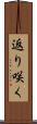 返り咲く Scroll