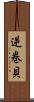 逆巻貝 Scroll