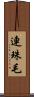 連珠毛 Scroll