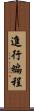 進行編程 Scroll