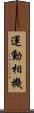 運動相機 Scroll