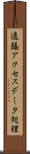 遠隔アクセスデータ処理 Scroll