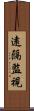 遠隔監視 Scroll