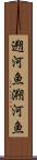 遡河魚 Scroll