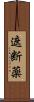遮断薬 Scroll