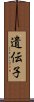 遺伝子 Scroll