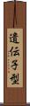 遺伝子型 Scroll