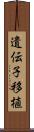 遺伝子移植 Scroll