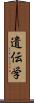 遺伝学 Scroll